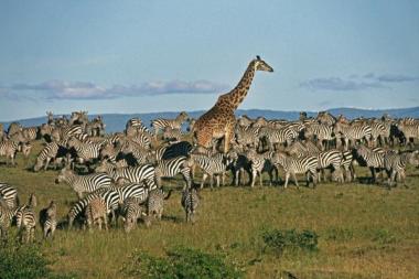 3d567d9d8969926058cc15629e2d601f[1]